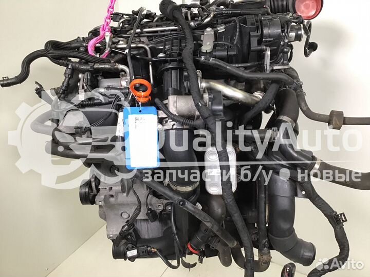 Двигатель Volkswagen Golf Plus 1.6 л