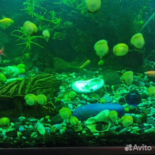 Украшение для аквариума