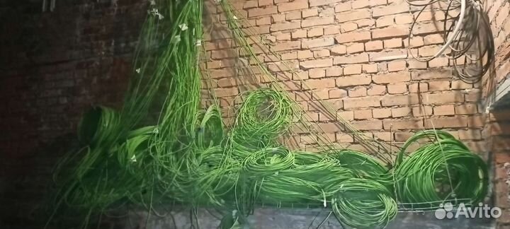 Монтаж слаботочных сетей