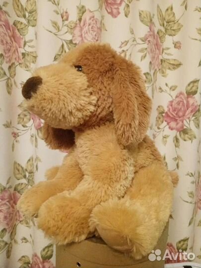 Собака, чебурашка