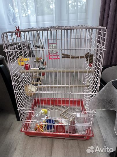 Клетка для крупного попугая