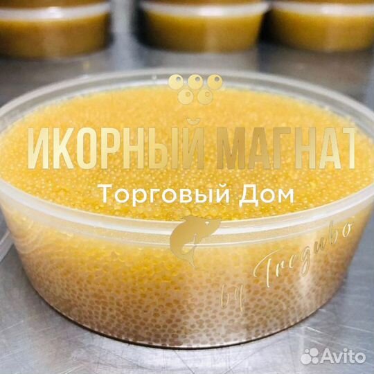 Щучья икра