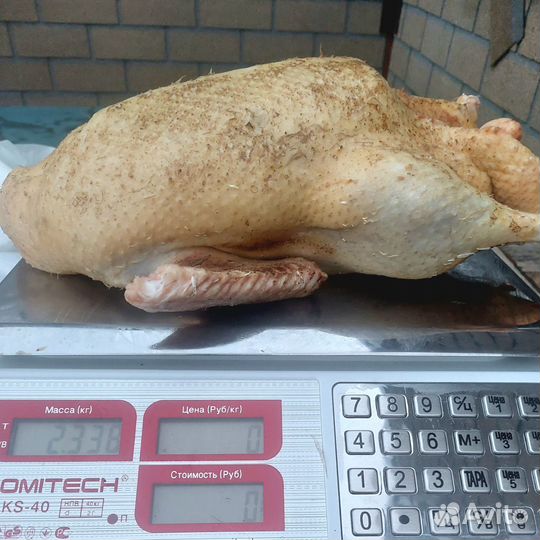 Индюк,утка,гусь,курица