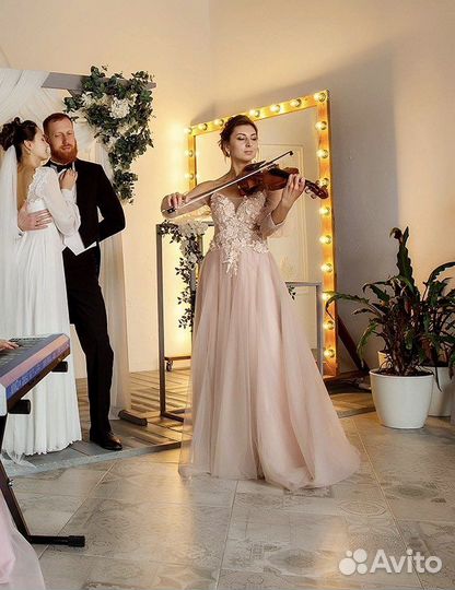 Скрипка/электроскрипка на праздник