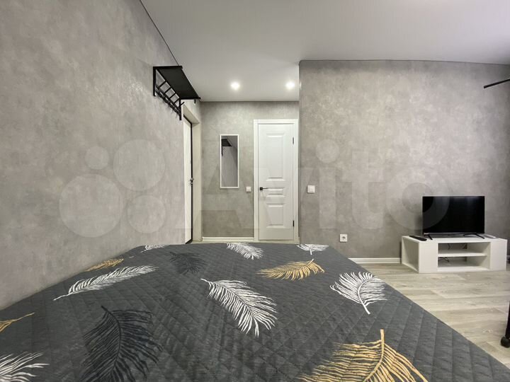 1-к. квартира, 24,3 м², 1/5 эт.