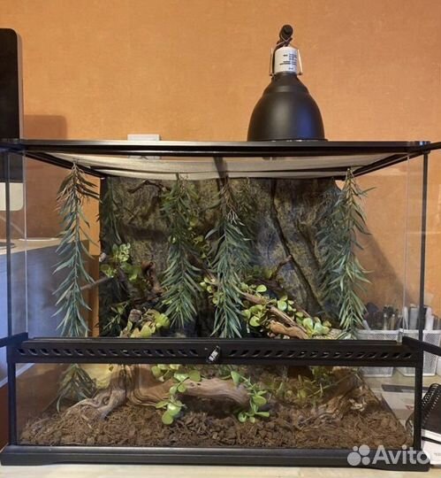 Террариум exo terra 60*45*45