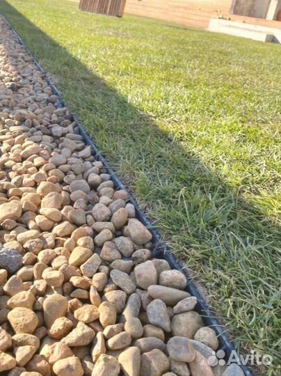 Рулонный газон от производителя