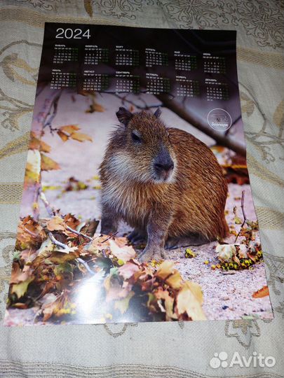 Календарь настенный 2024
