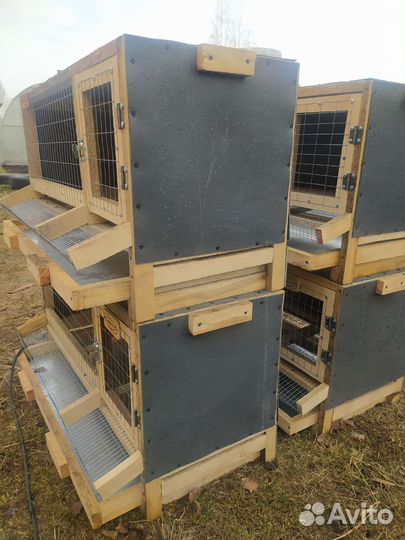 Клетка для разведения перепелов.Кл