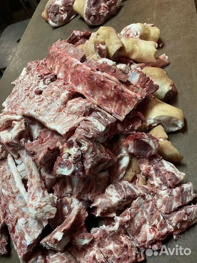 Кости собакам