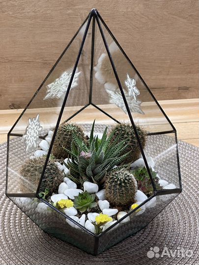 Подарок Флорариум суккуленты цветы