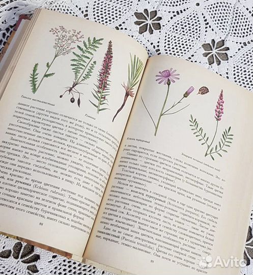 Учебники советские СССР окружающий мир