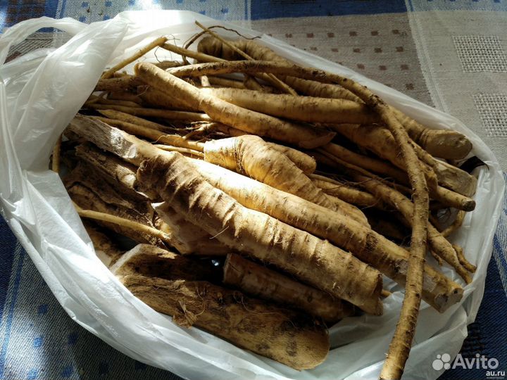 Набор для маринада (хрен+укроп), корень хрена