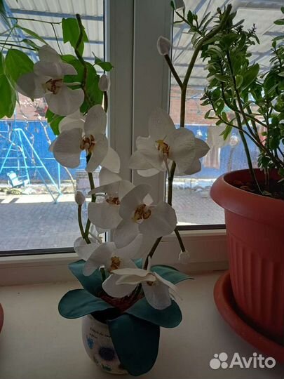 Орхидея ручной работы