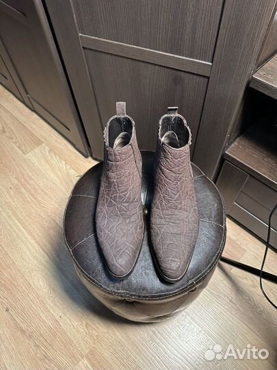 Челси zilli слон оригинал