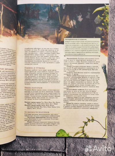 Книга игрока Dungeons & Drаgons