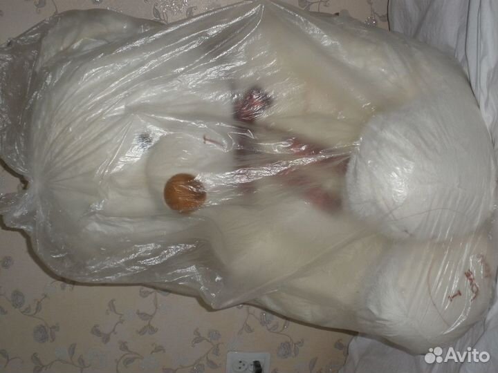 Медведь большой новый