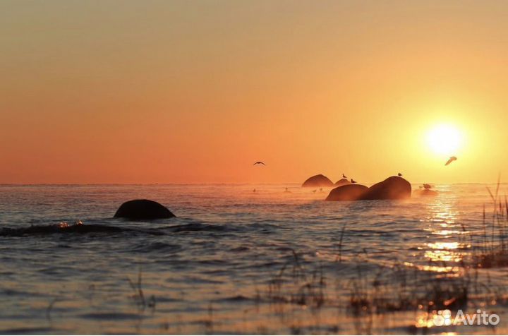 Зеркальный фотоаппарат canon 40D EOS