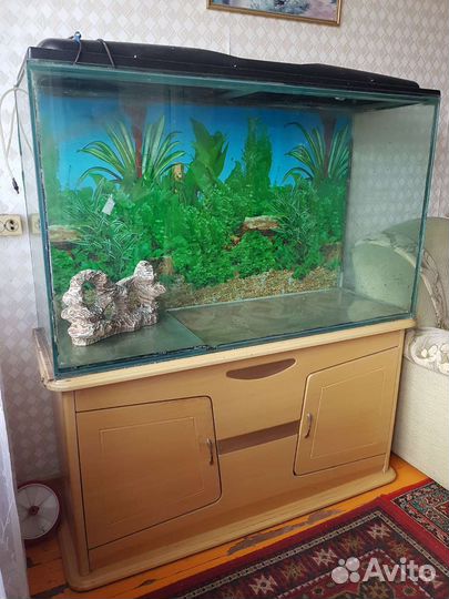 Аквариум
