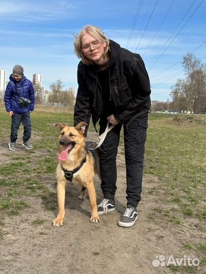 Уже не хлебный мякиш, уже ищет дом