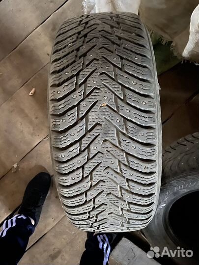 Nokian Tyres Hakkapeliitta 8 205/55 R16