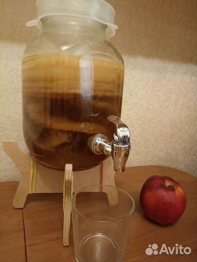 Чайный гриб