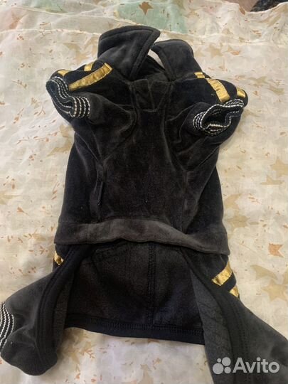 Комбинезон для маленькой собаки