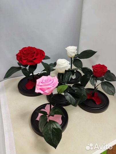 Роза в колбе оптом