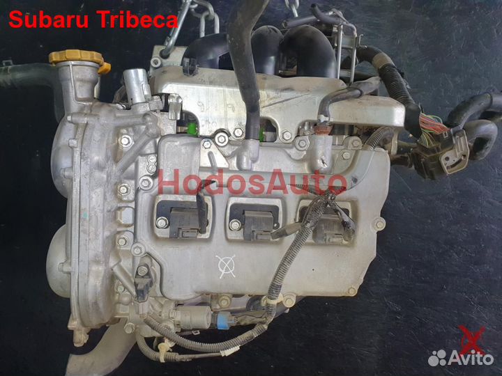 Двигатель EZ36 Subaru Tribeca