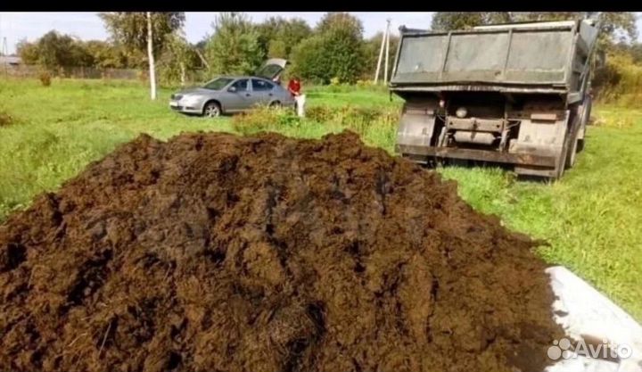 Навоз коровий камаз