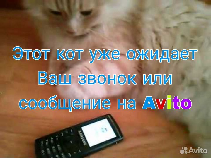 Мастер на все руки