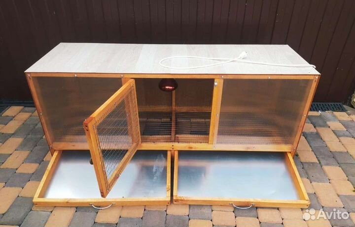 Брудер для цыплят