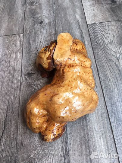 Кап березовый