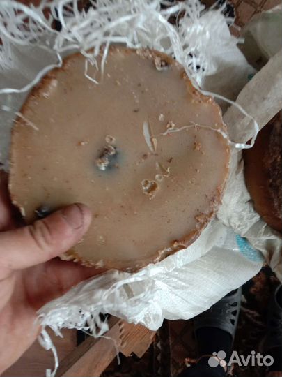 Прополис пчелиный