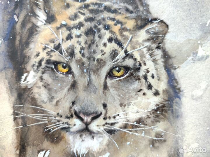 Картина снежный барс ирбис. Картина хищник