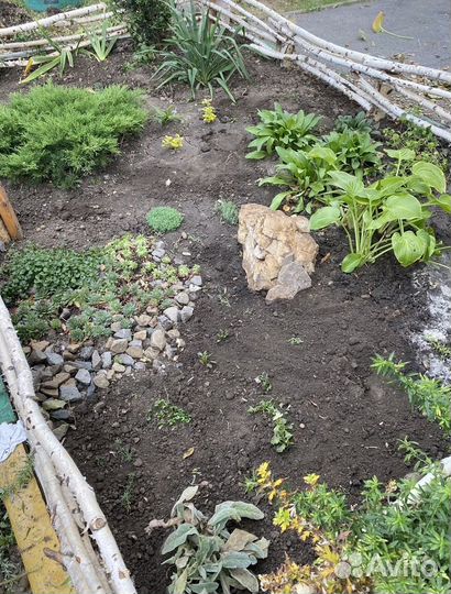 Услуги садовника