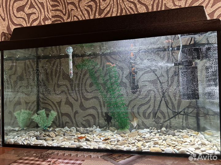 Аквариум без рыб 100 л и 30л