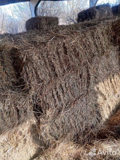 Сено луговое в тюках