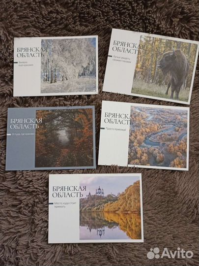 Открытки рго. Брянская область.5 шт