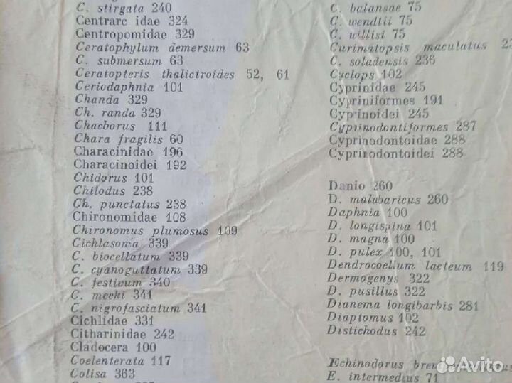 Энциклопедия о рыбах аквариумных и о собачках