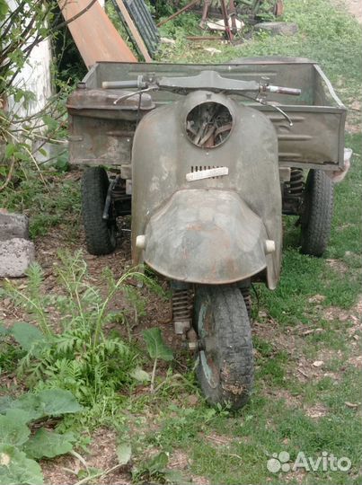 Продам муровей