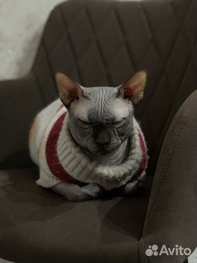 Вязка