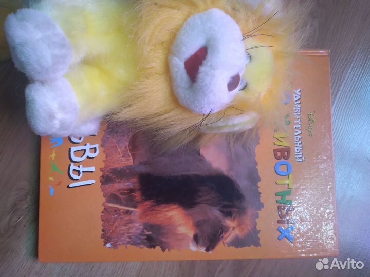 Книги детские про животных, 8 шт с игрушкой