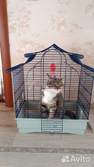 Клетка для попугая корелла