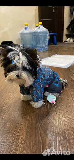 Комбенизон для собаки xs