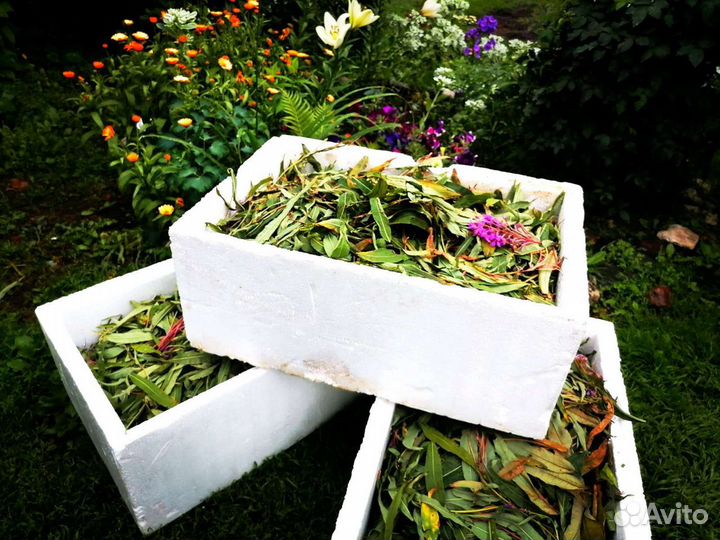 Кипрей сухой, иван-чай ферментированный, опт