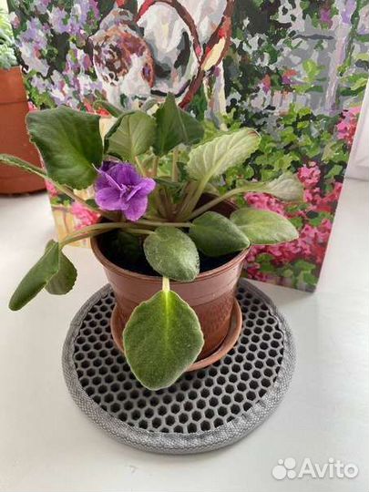 Eva (Ева, Эва) коврик под цветочный горшок