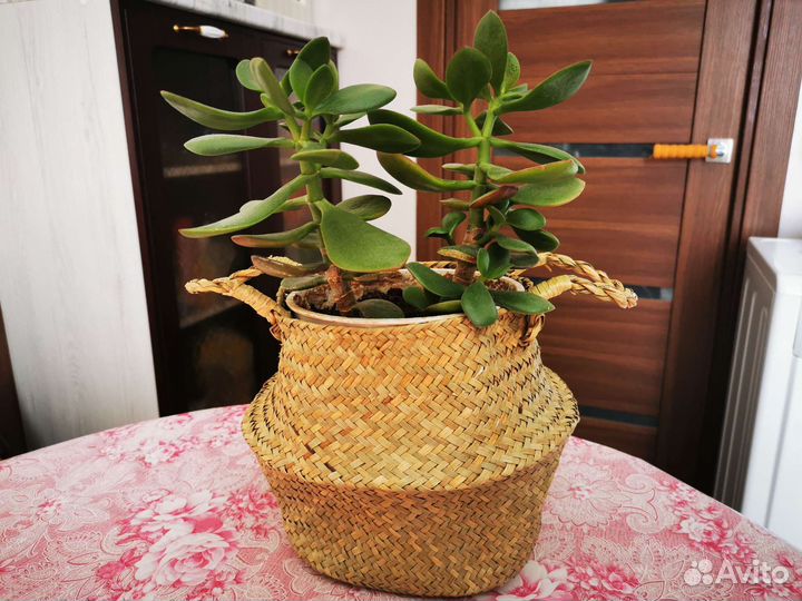 Кашпо для цветов, корзина плетеная