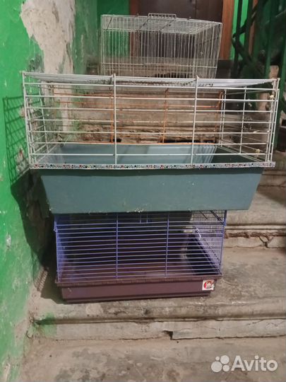 Клетка для грызунов бу