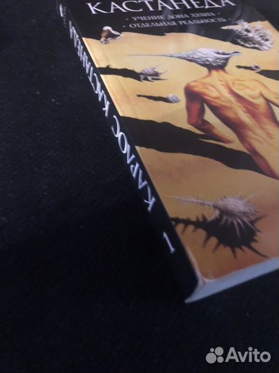 Карлос кастанеда